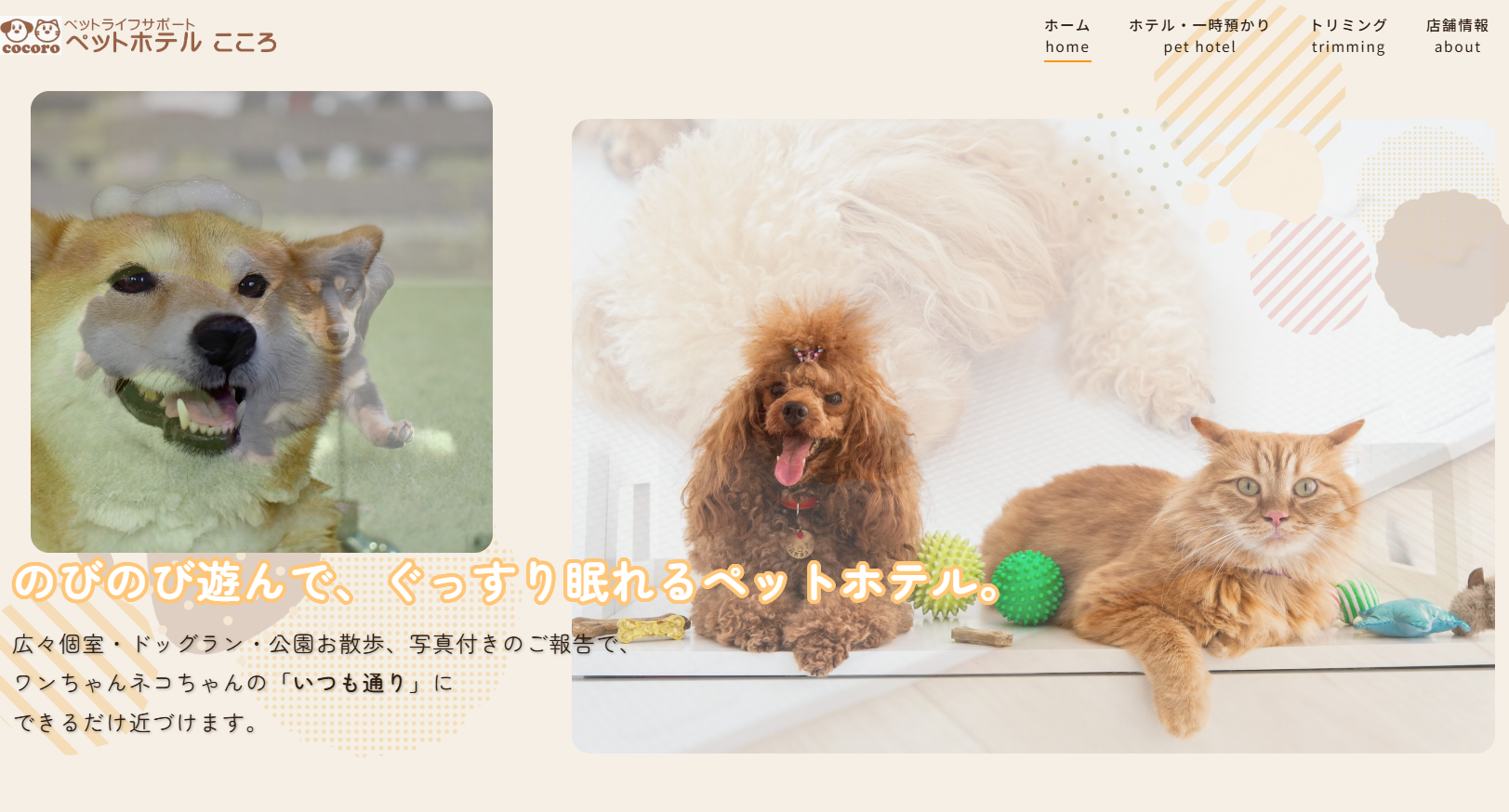 ペットホテル こころのペットホテル・預かり情報をイメージできる写真